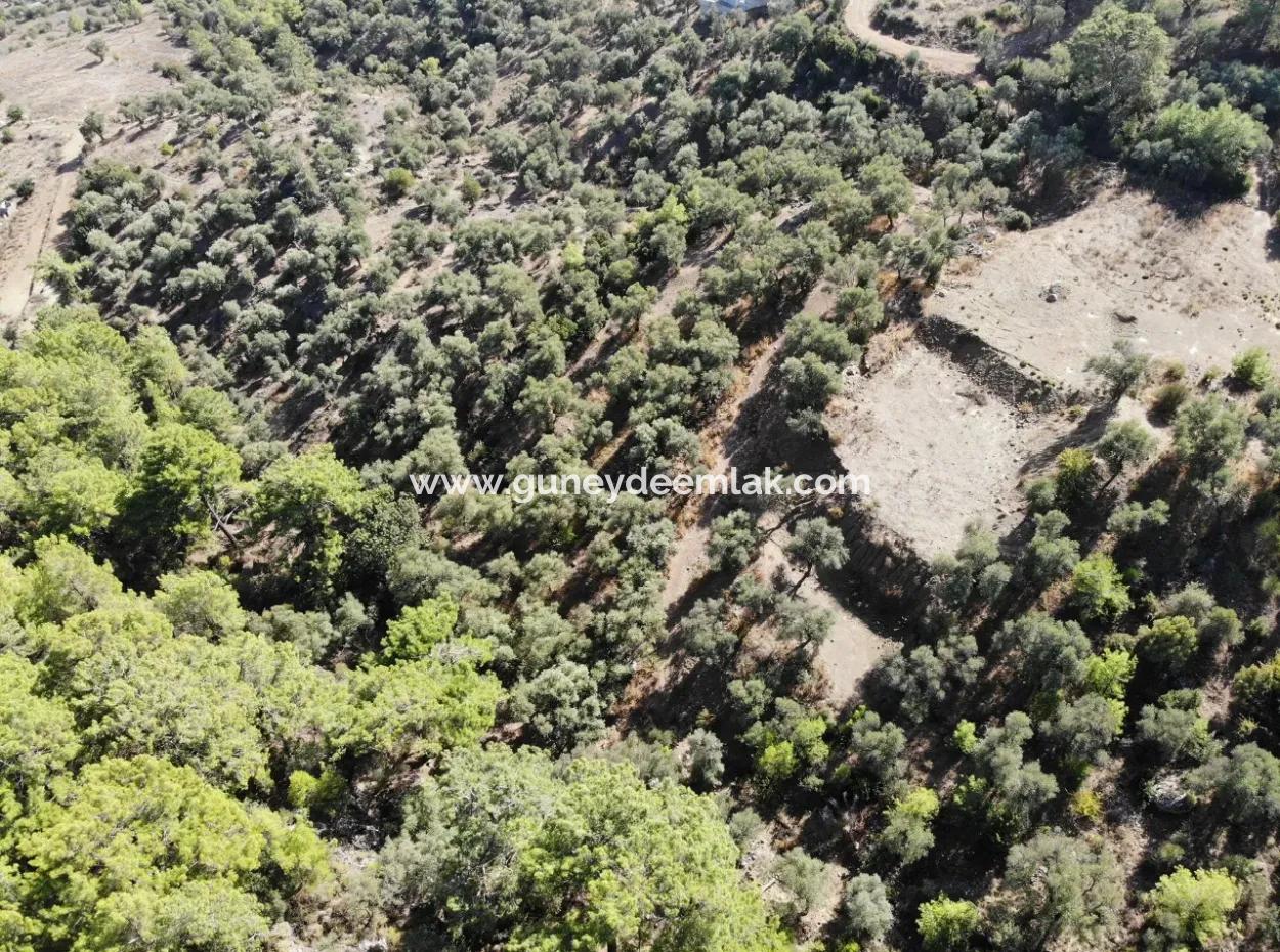 Zu Verkaufen 403 M2 Grundstück In Sarigerme