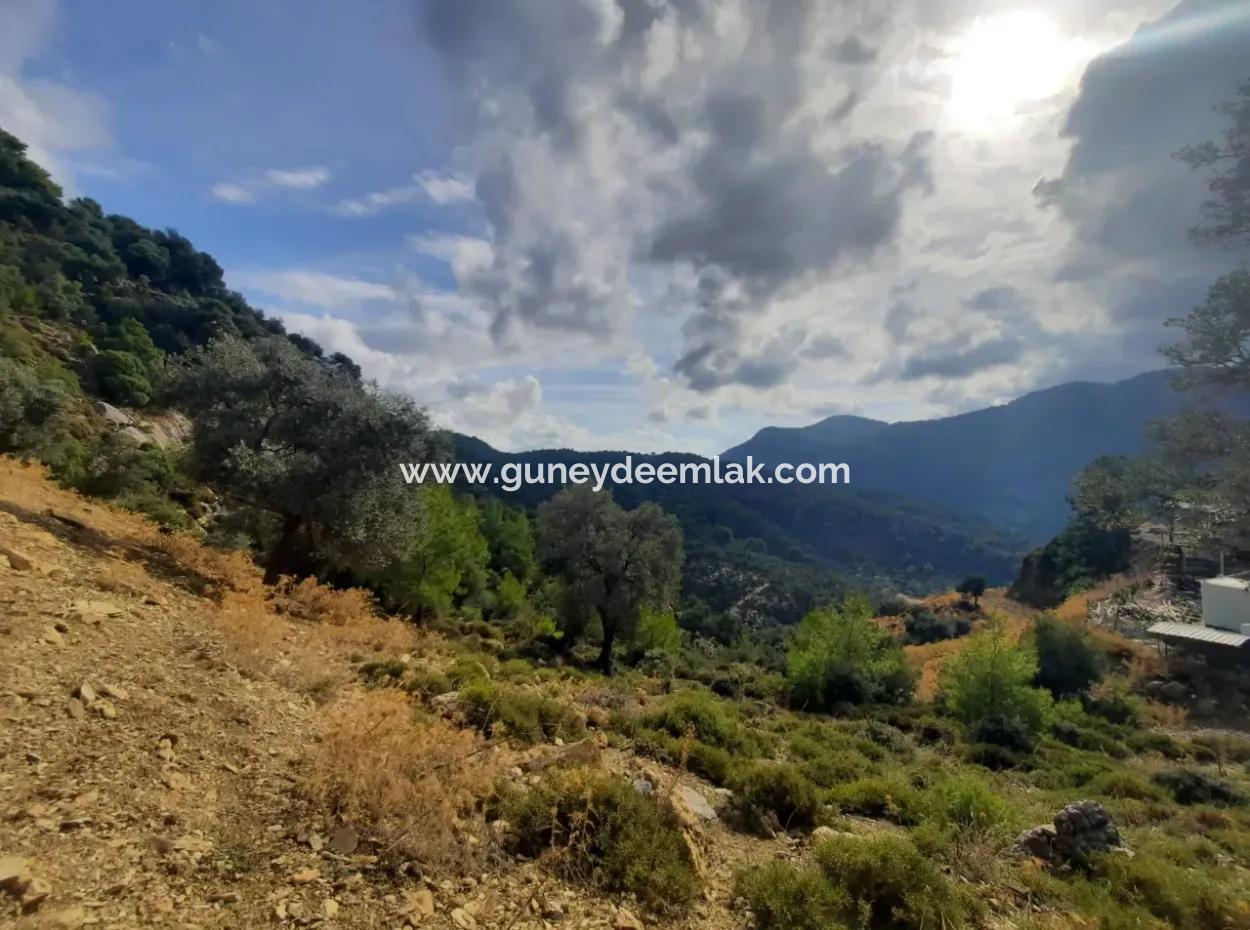 Muğla Dalyan Gökbelde 7 270 M2 Freistehende Eigentumsurkunde Land Mit Meer- Und Seeblick Zum Verkauf