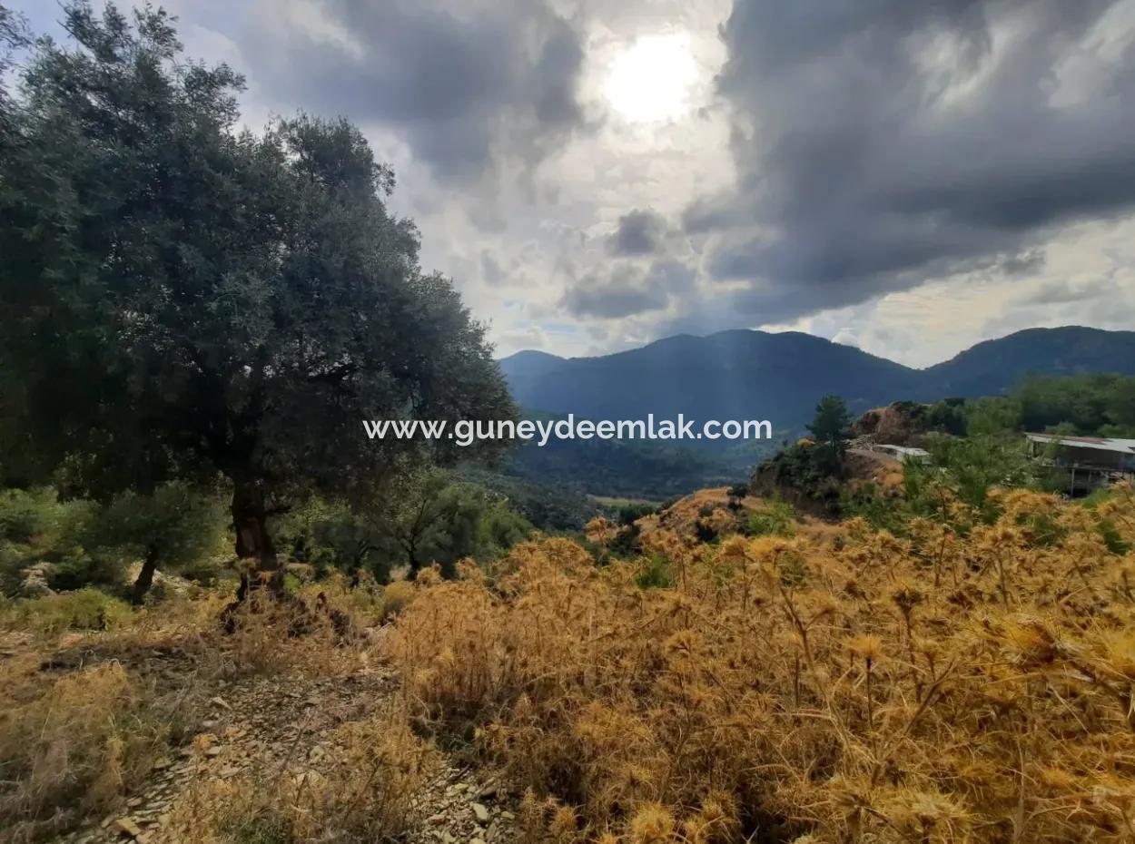 Muğla Dalyan Gökbelde 7 270 M2 Freistehende Eigentumsurkunde Land Mit Meer- Und Seeblick Zum Verkauf