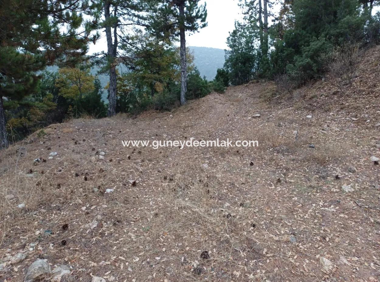 1 900 M2 Freistehendes Schnäppchengrundstück Zum Verkauf In Burdur Gölhisar Yeşildere