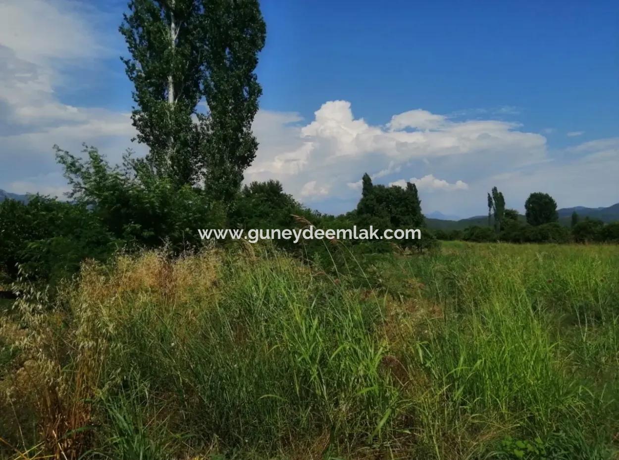 Bauernhof Zum Verkauf In Köyceğiz Beyoba Schnäppchen