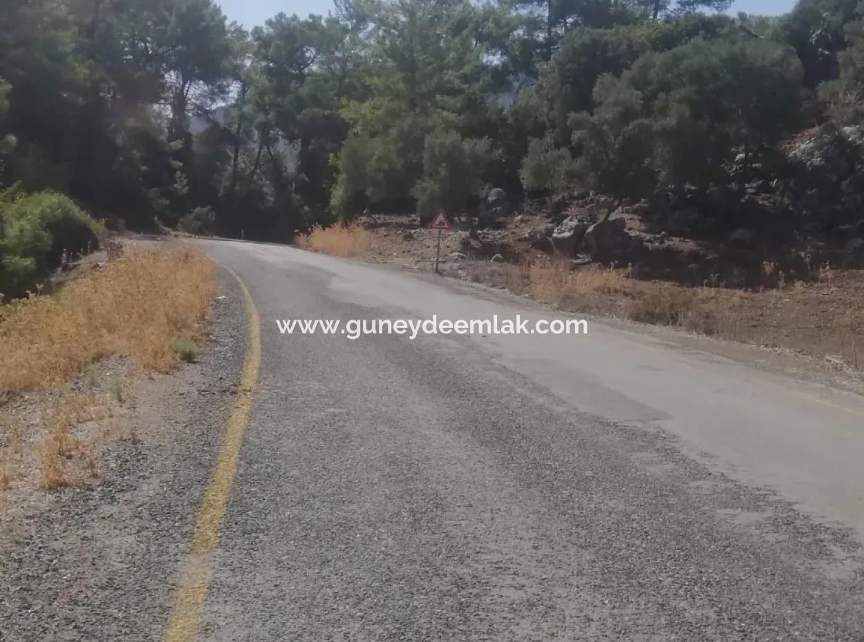 5000 M2 2B Feld Zu Verkaufen