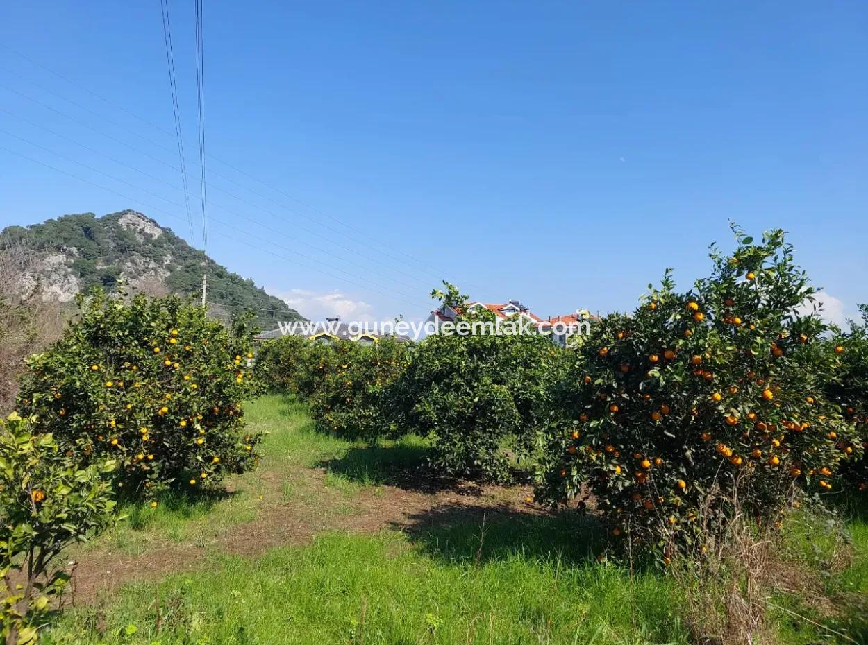 722 M2 Freistehendes Grundstück Zum Kauf In Dalyan, Muğla
