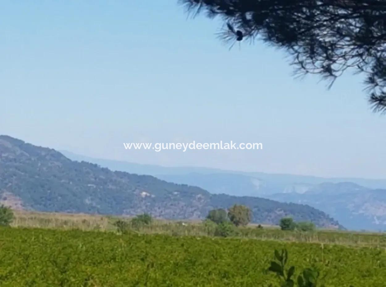 Garten Der Granatäpfel Zum Verkauf In Dalyan