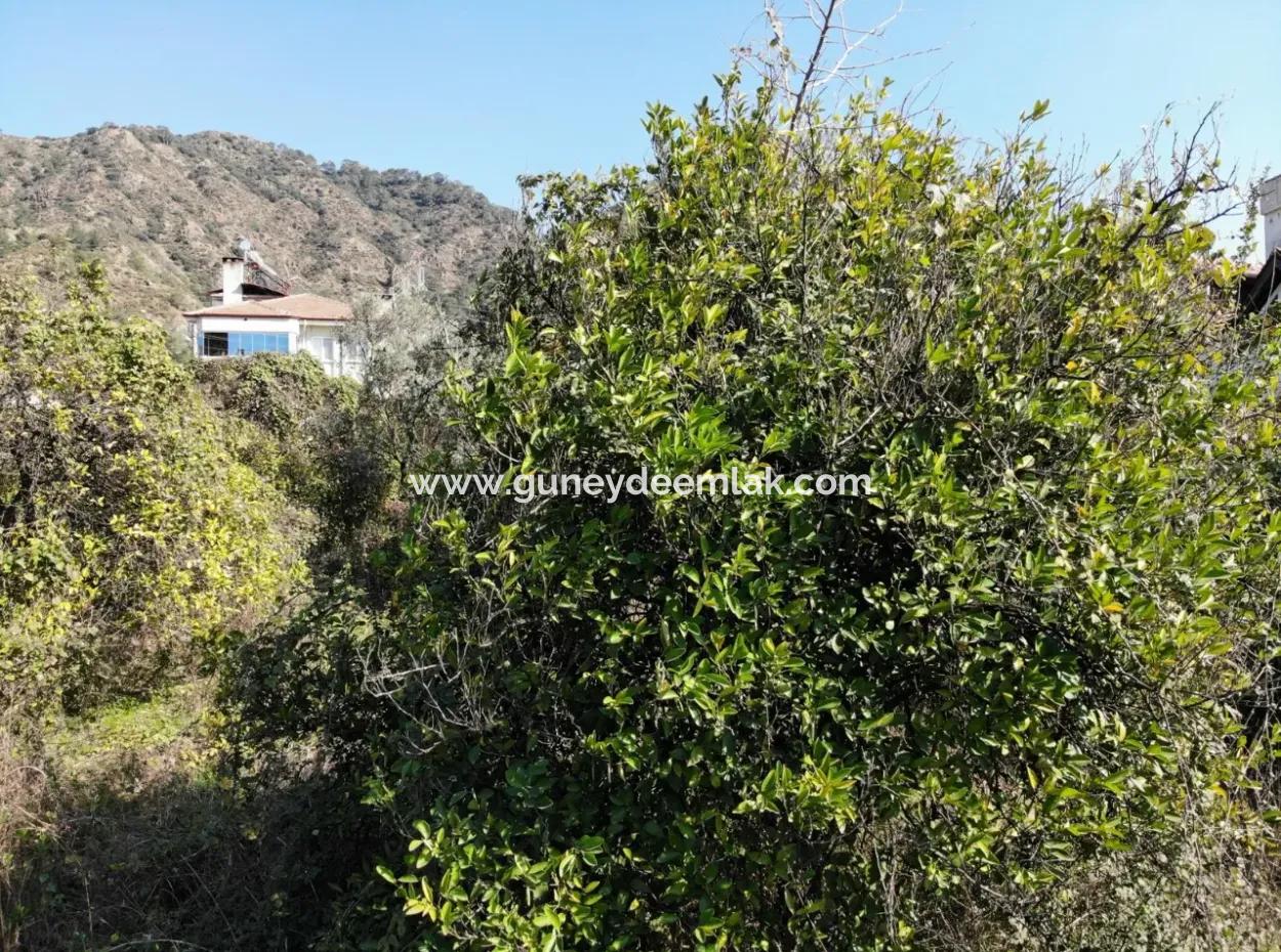 Fassade Der Hauptstraße Ortacada 850 M2 Gewerbliches Wohngebiet Zum Verkauf