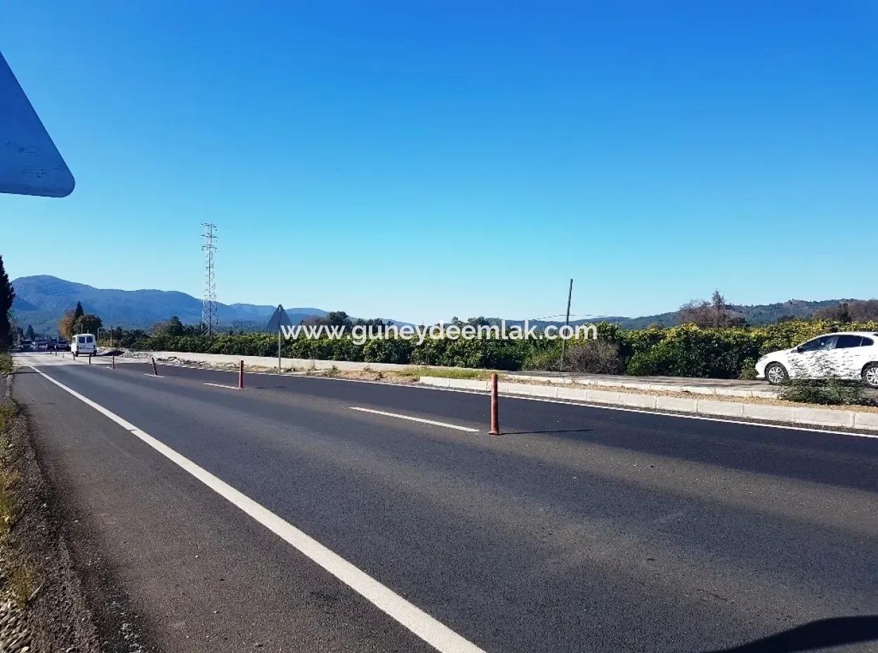 Auch Dogusbelen Null Von Der Hauptstraße, Grundstücke Zum Verkauf