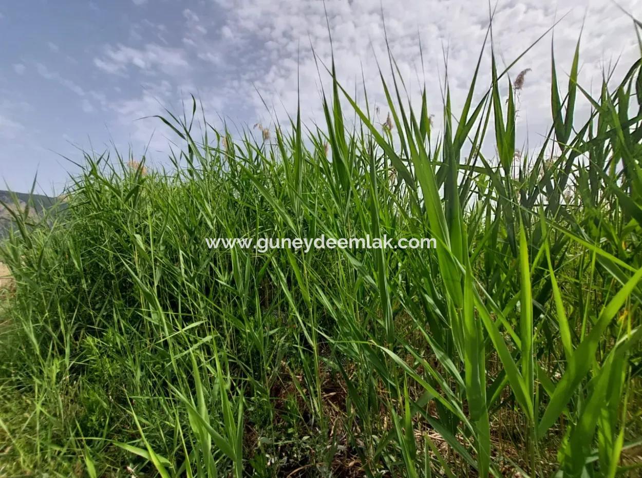 1.500 M2 Freistehendes Feld Zum Verkauf In Dalyan