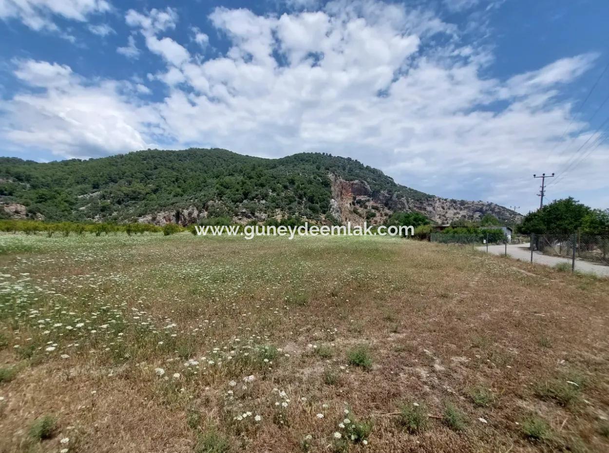 Köyceğiz Çandırda Freistehende Eigentumsurkunde 33.800 M2 Feld Zum Verkauf