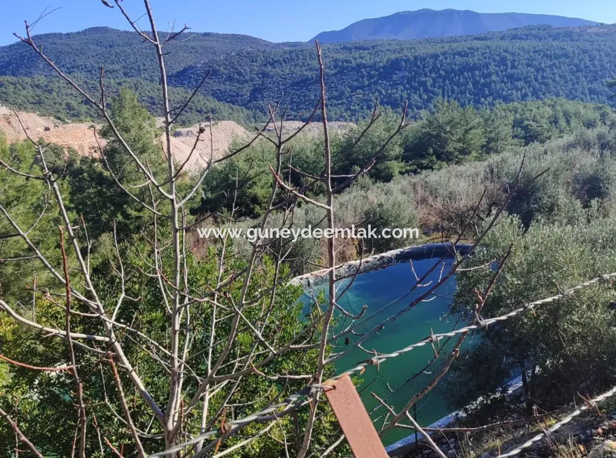 120 M2, 3 1 Einstöckiges Haus Zum Verkauf Auf 8500 M2 Land Mit Meer- Und Naturblick In Antalya Finike Alacadağ