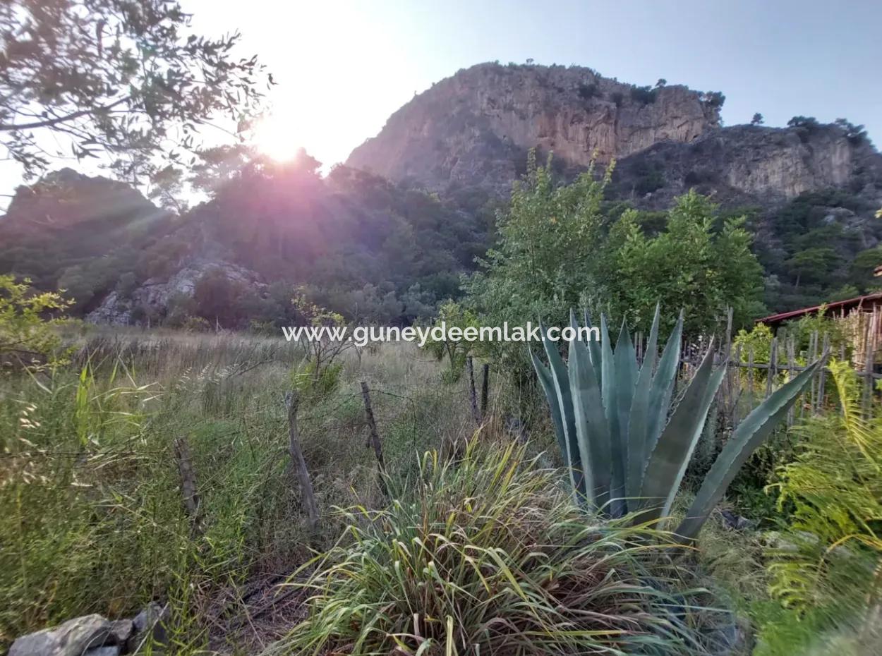 Einstöckiges Haus Zum Verkauf Auf 15 000 M2 Freistehendem Grundstück In Der Nähe Des Dalyan-Kanals In Köyceğiz Çandırda