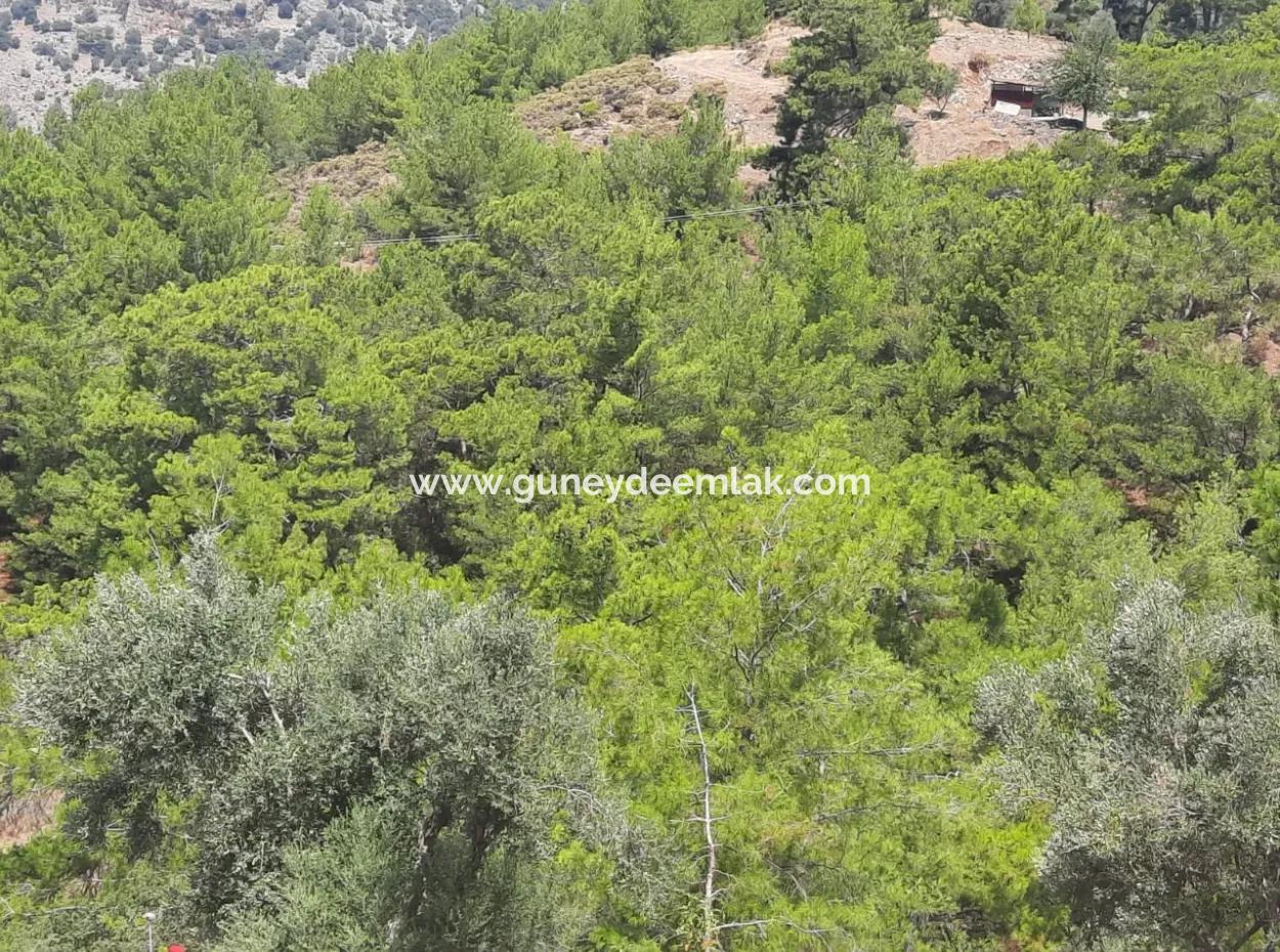 Dalyan Gökbelde See- Und Meerblick Freistehende Eigentumsurkunde Zum Verkauf 82 M2 Land Zum Verkauf