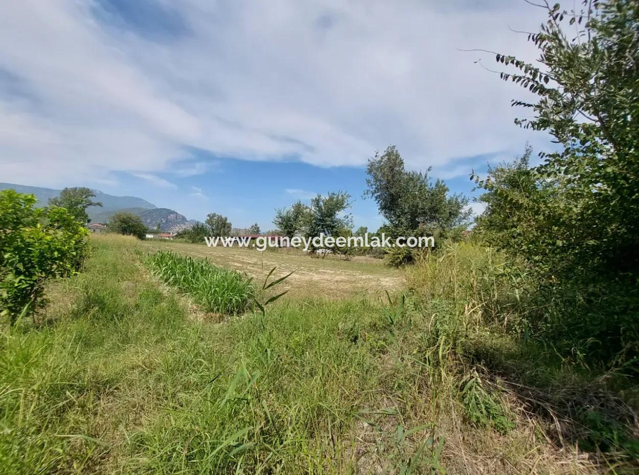 Fruchtbares 1.680 M2 Land Am Berghang Zum Verkauf In Dalyan, Muğla