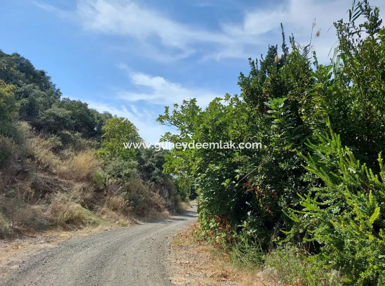 Fruchtbares 1.680 M2 Land Am Berghang Zum Verkauf In Dalyan, Muğla