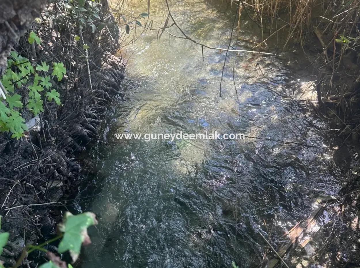 3073 M2 Feld Zu Vermieten In Dalyan Marmarlı