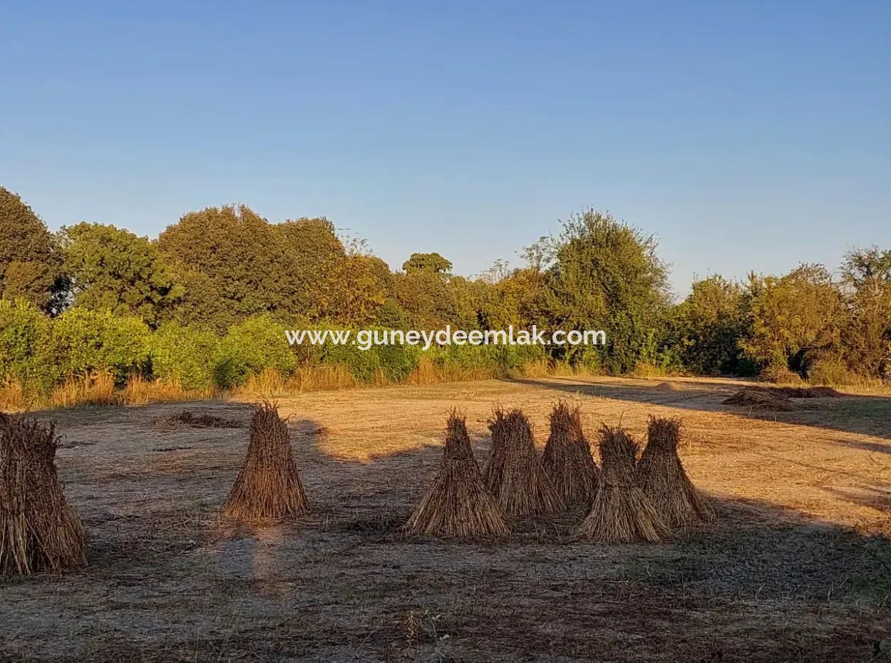 3 700 M2 Grundstück Zum Verkauf An Der Hauptstraße In Muğla Ortaca Kemaliye
