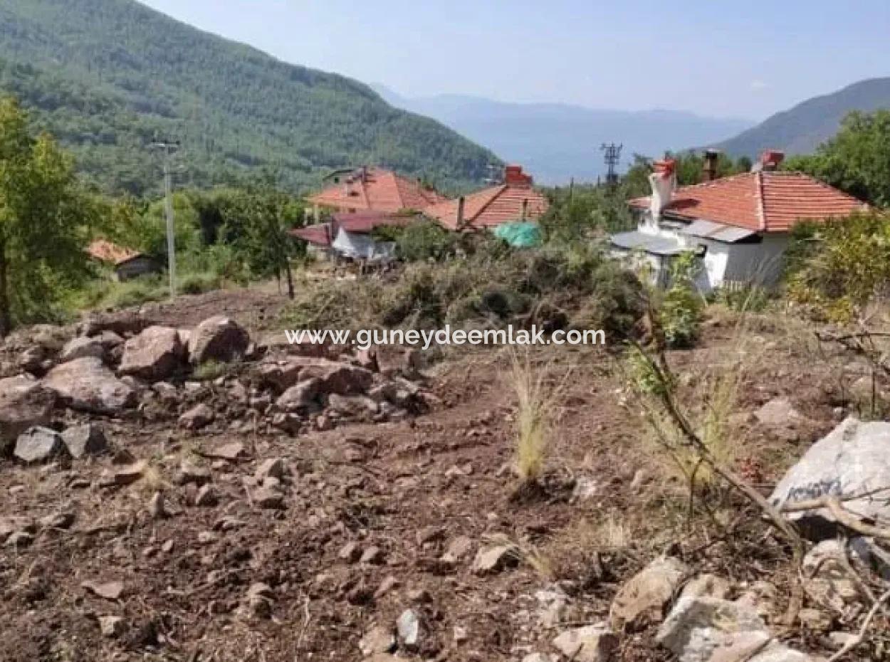 Muğla Köyceğiz Yayla Mah 560 M2 Grundstück Zum Verkauf