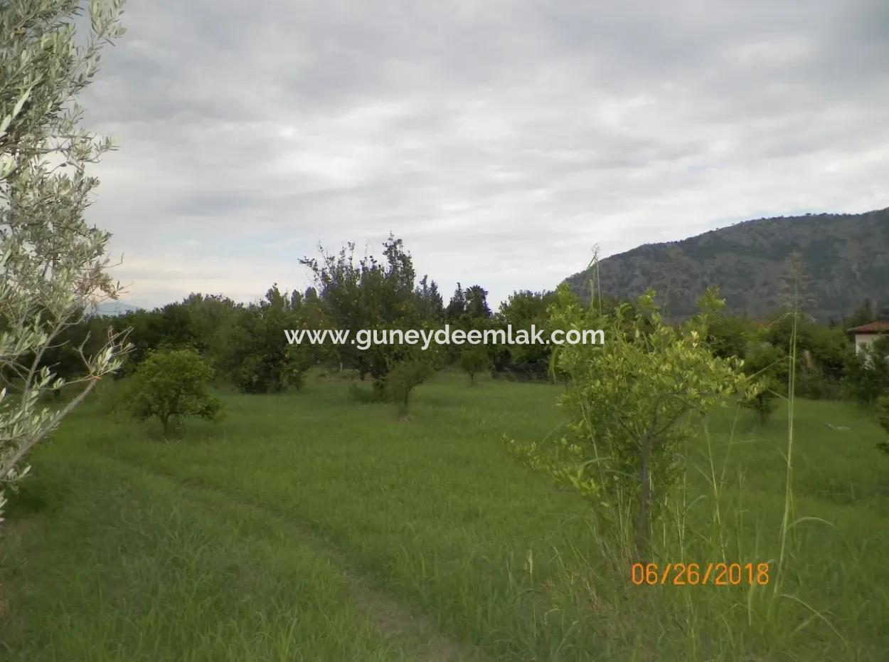 Grundstücke Zum Verkauf In Dalyan, Immobilien Schnäppchen