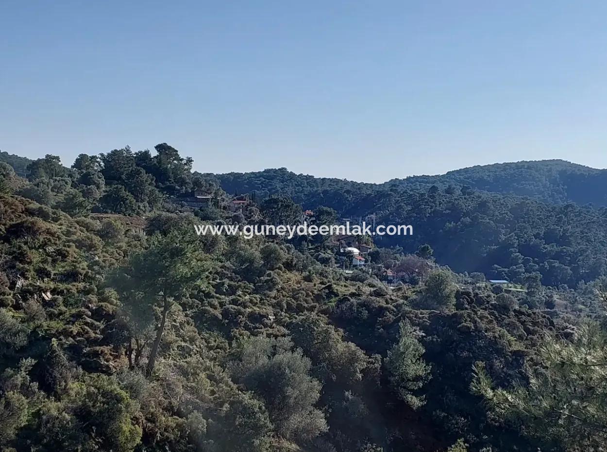 28.350 M2 Grundstück Zum Verkauf In Ortaca Gökbelde Mit Freistehender Eigentumsurkunde Mit Meerblick