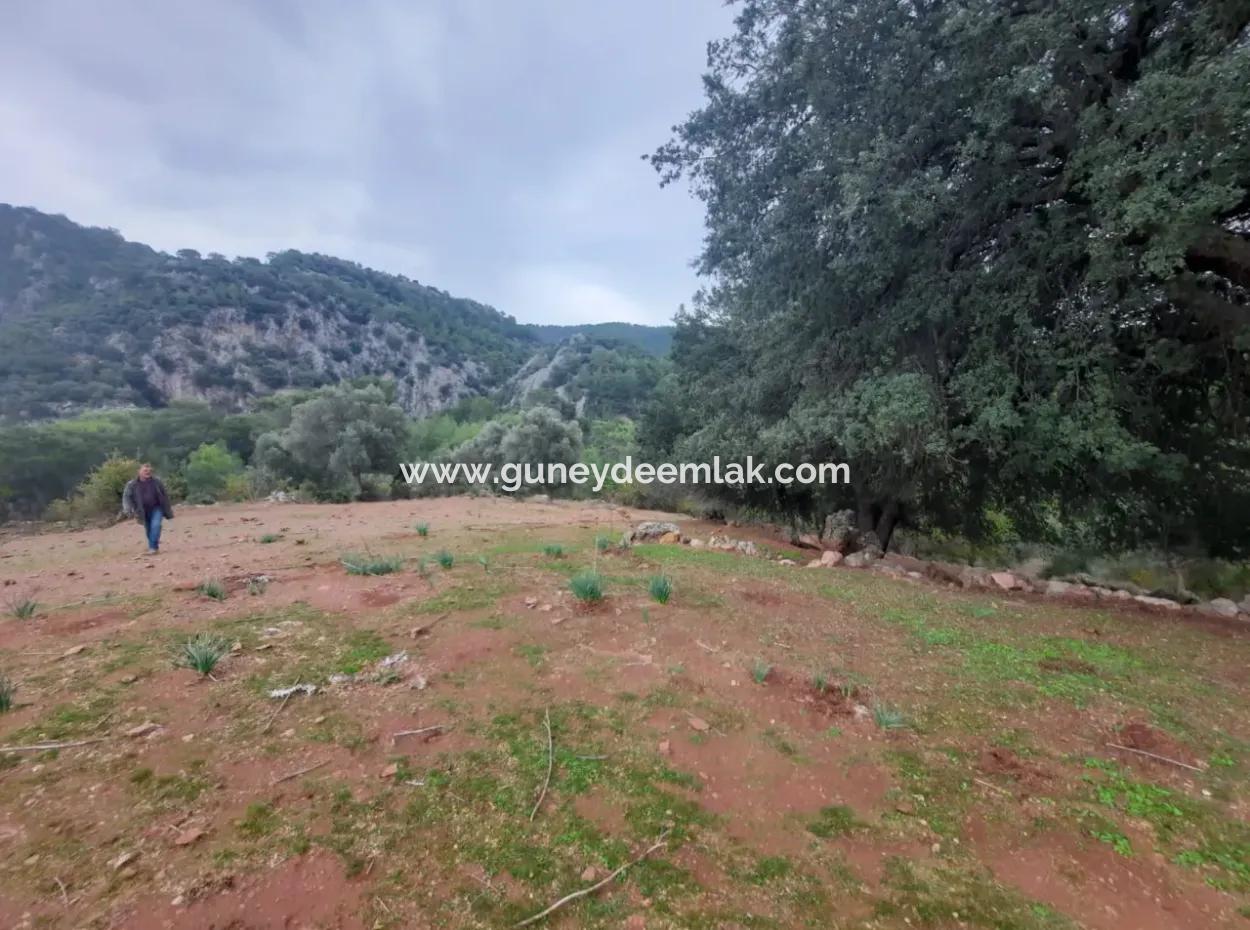 24.000 M2 Freistehendes Grundstück Zum Verkauf In Muğla Dalyan Gökbelde Natur