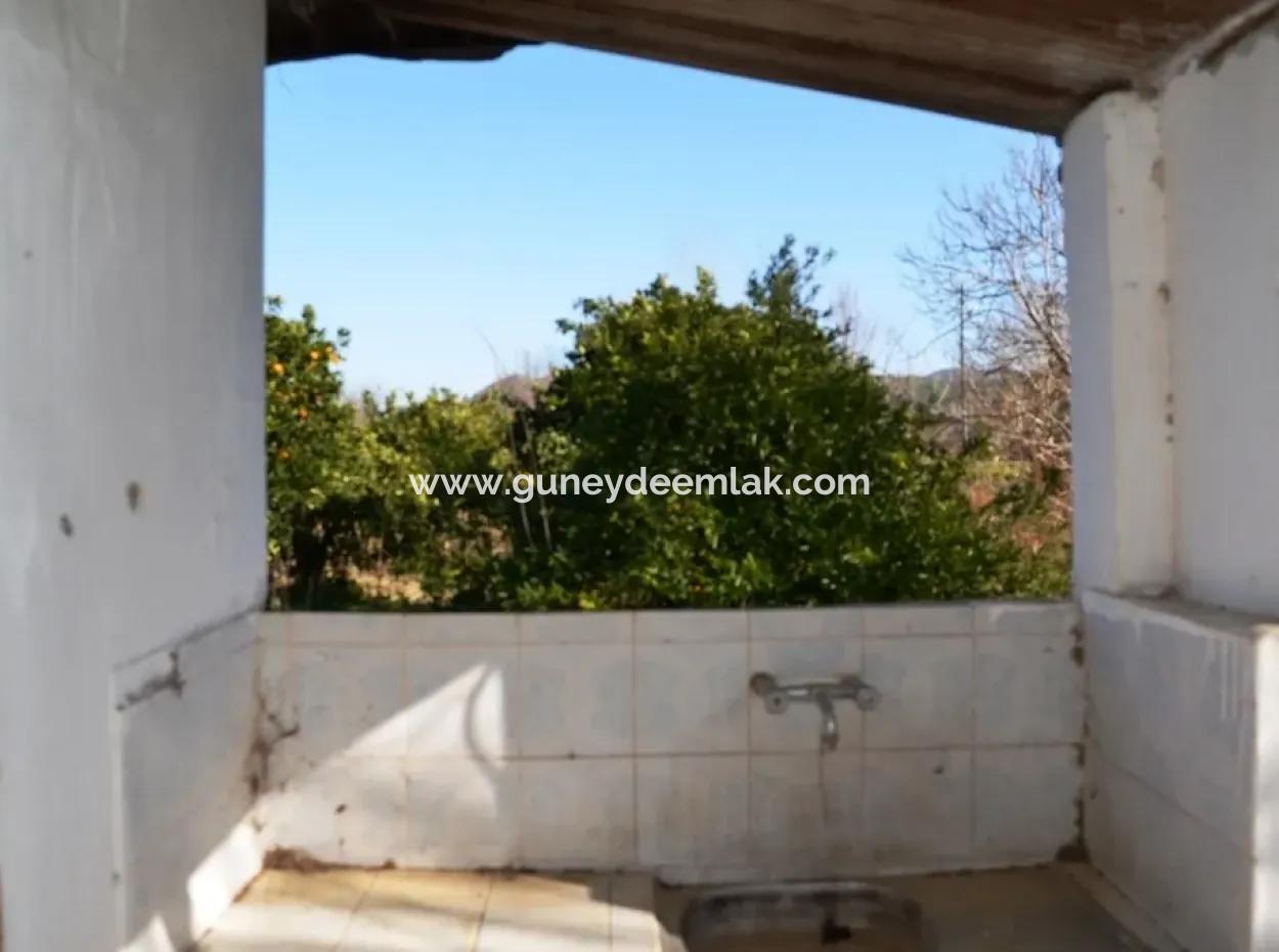 Dorf Haus Zum Verkauf In Orange Grove Und Beyoba