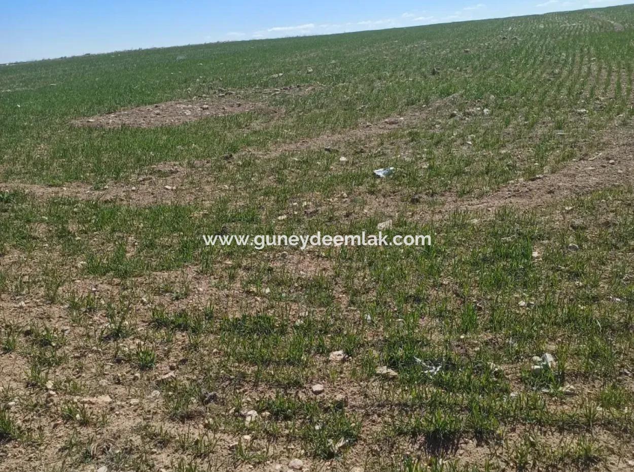 Konya Kadinhani Baskuyu 650.000 M2 Schnäppchenland Zum Verkauf