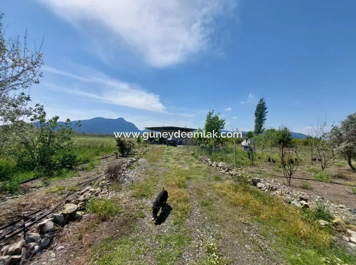 Einfamilienhaus Und Grundstück Zum Verkauf In Muğla Ortaca Tepearası