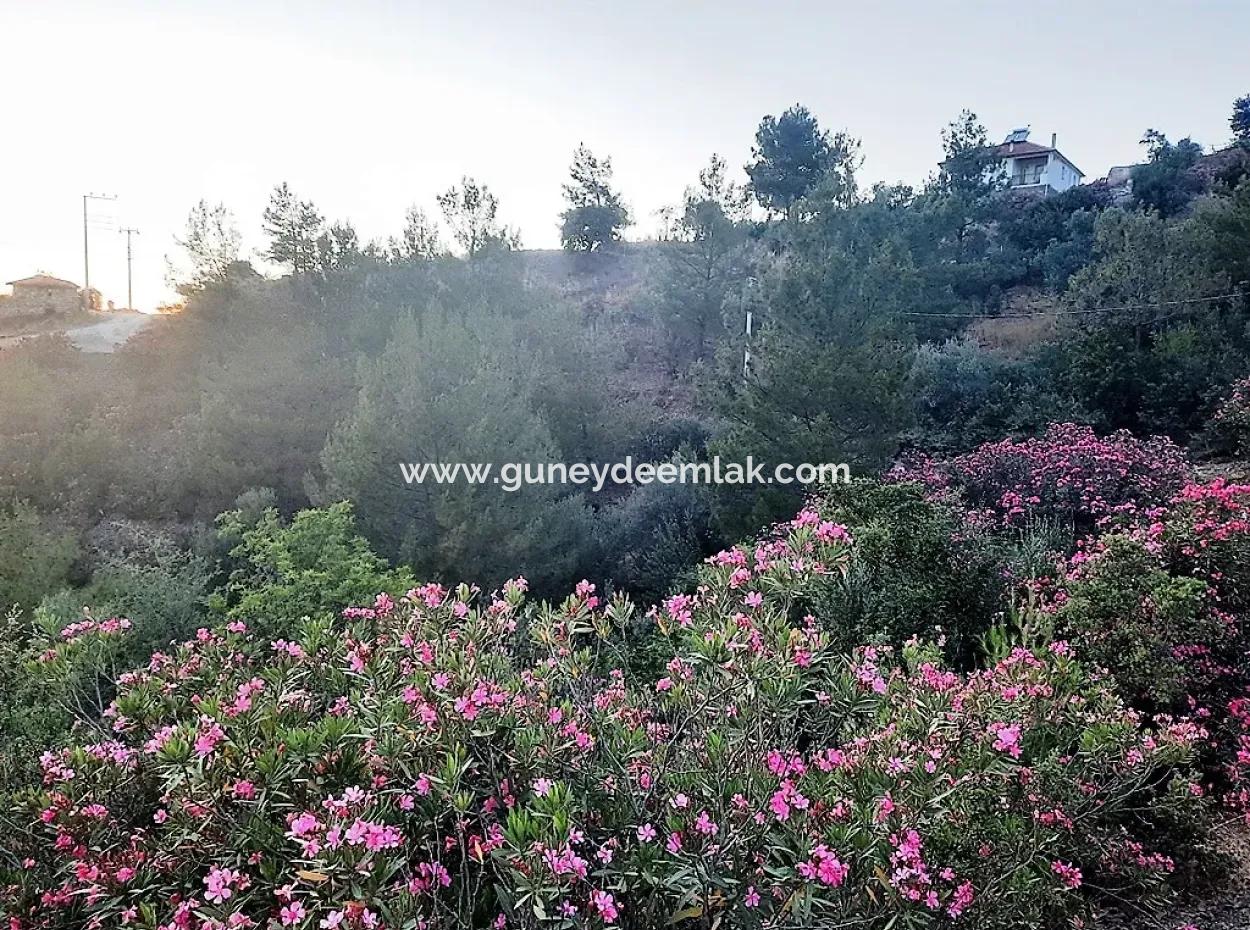238 M2 Hobbygarten Mit Freistehender Eigentumsurkunde Zum Verkauf In Ortaca Gökbel, Muğla