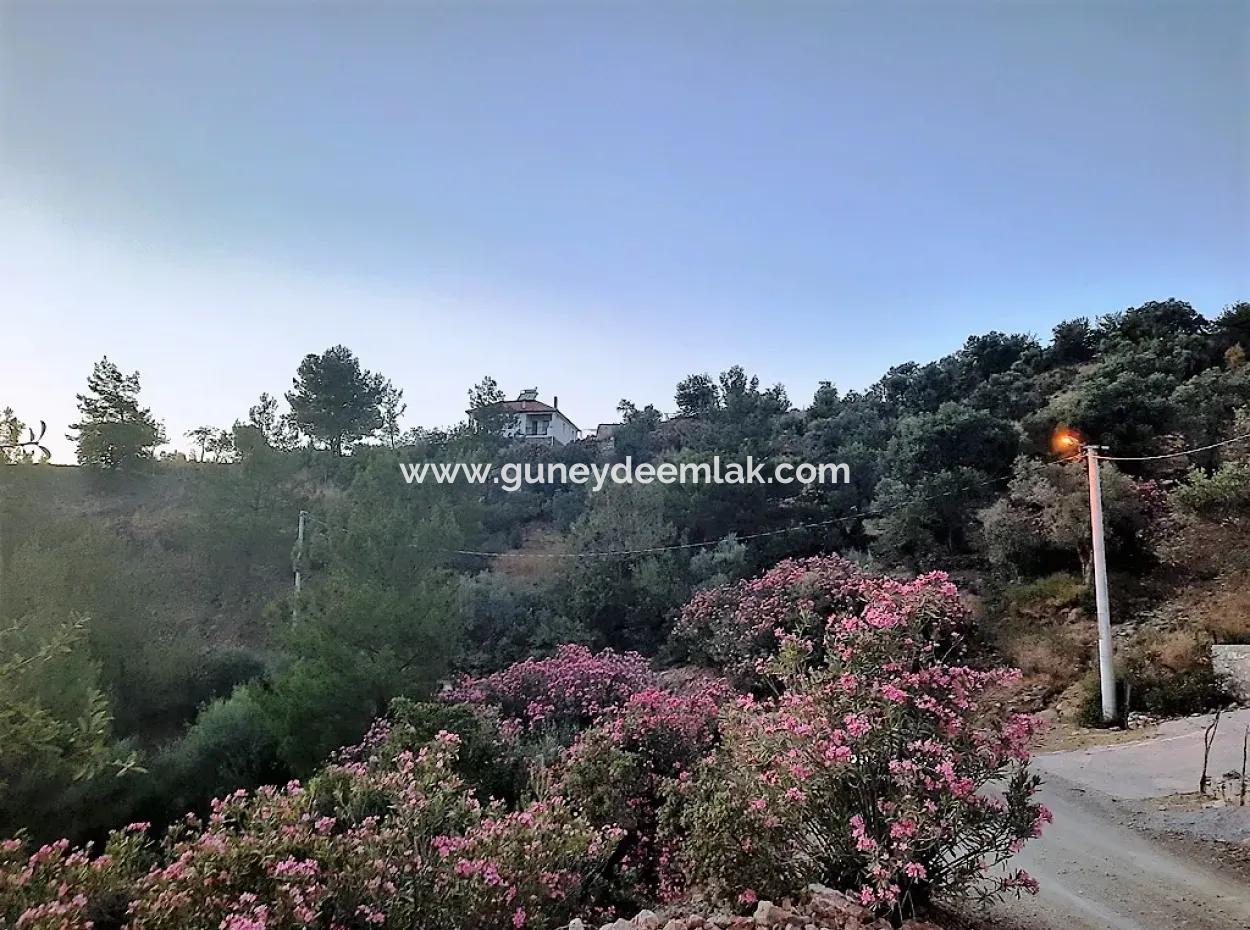 238 M2 Hobbygarten Mit Freistehender Eigentumsurkunde Zum Verkauf In Ortaca Gökbel, Muğla