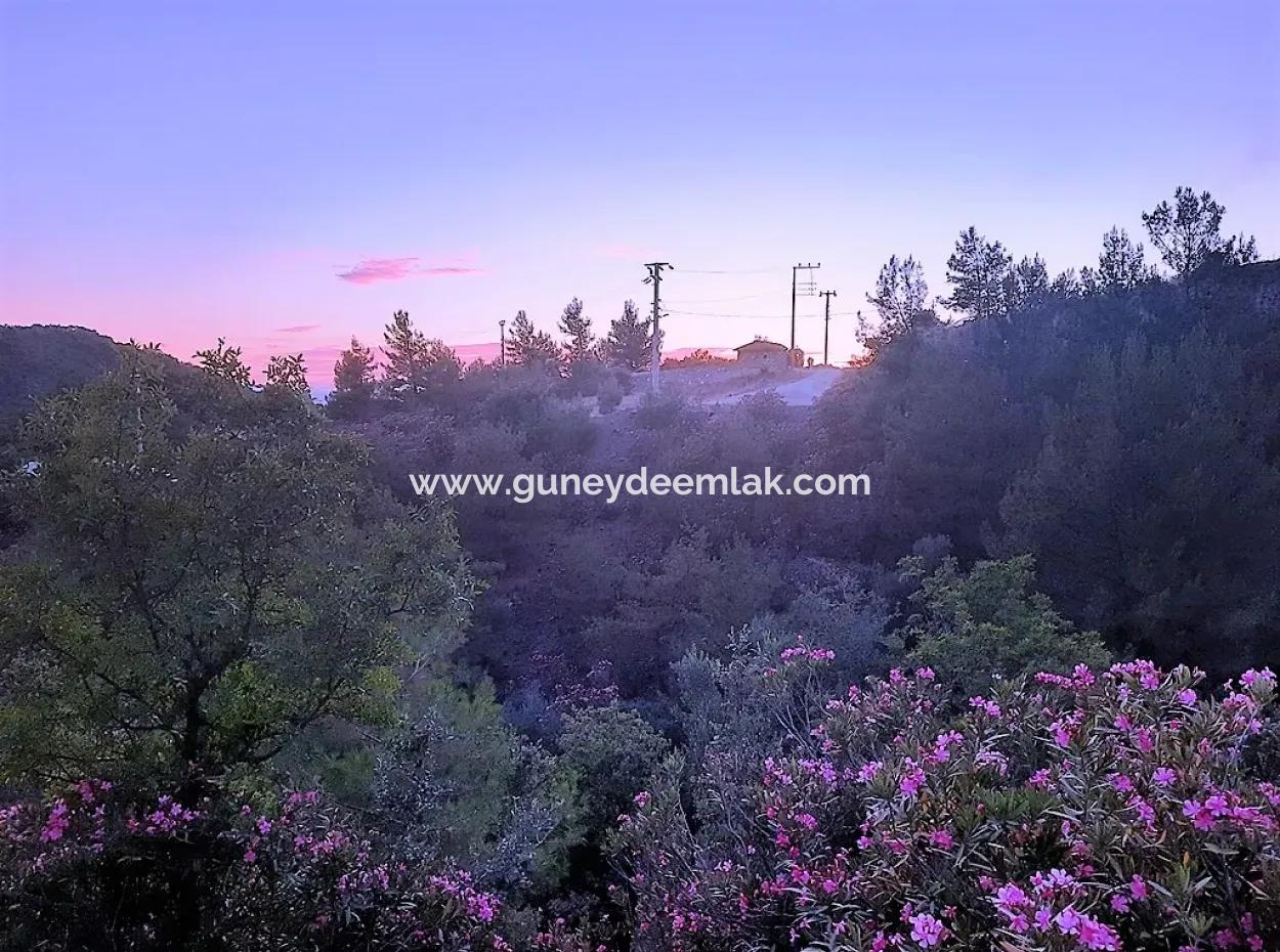 238 M2 Hobbygarten Mit Freistehender Eigentumsurkunde Zum Verkauf In Ortaca Gökbel, Muğla