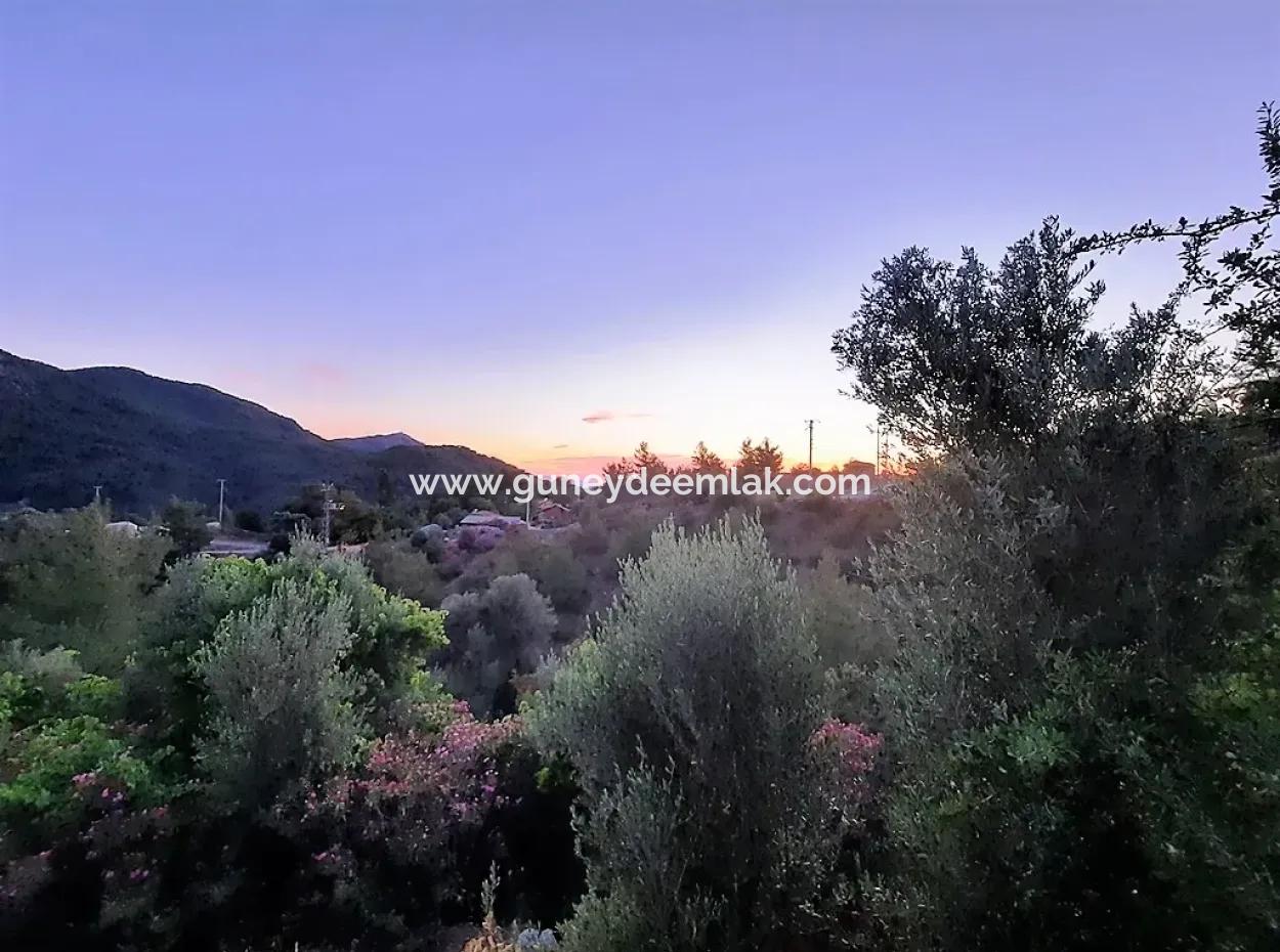 238 M2 Hobbygarten Mit Freistehender Eigentumsurkunde Zum Verkauf In Ortaca Gökbel, Muğla