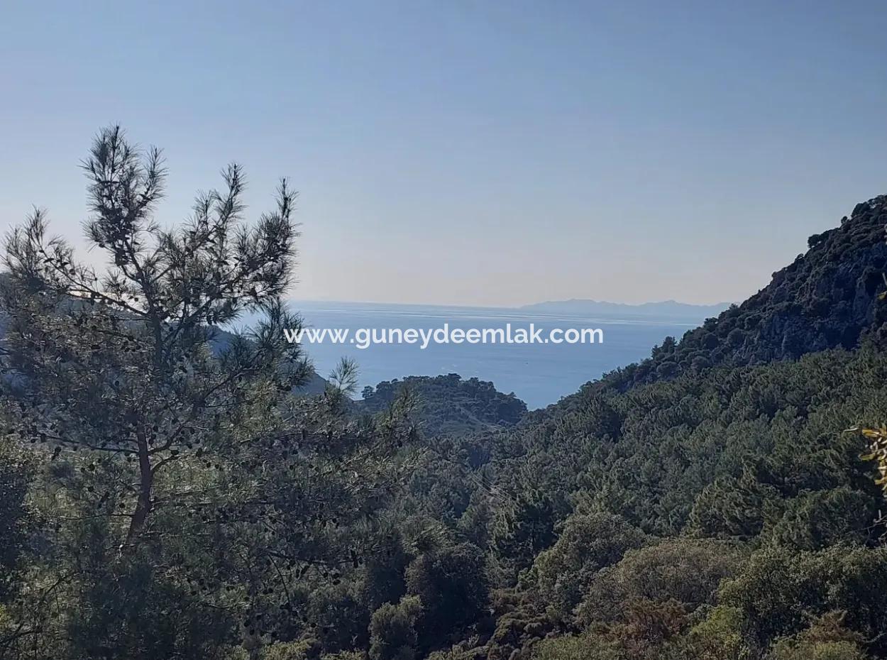 5.216 M2, 2B Grundstück Zum Verkauf In Ortaca Gökbelde Mit Freistehender Eigentumsurkunde Mit Meerblick
