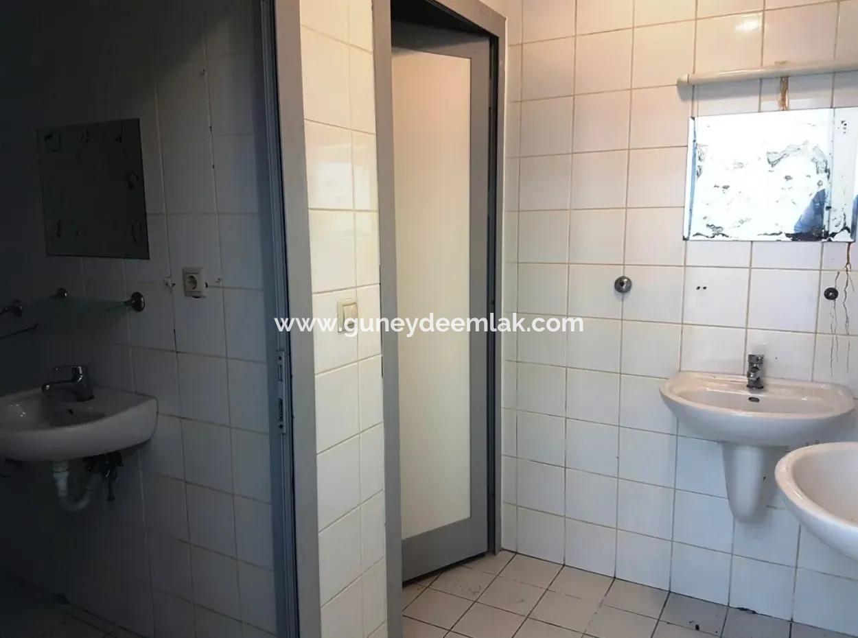 Oriya Auch Der Schnäppchen-Shop Für Verkauf