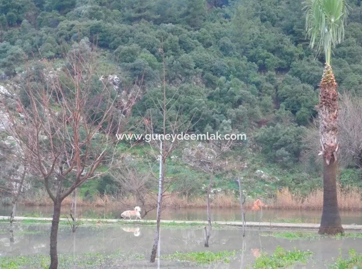 Tourismus-Zonen Grundstücke Zum Verkauf In Dalyan, Nahe Dem Kanal
