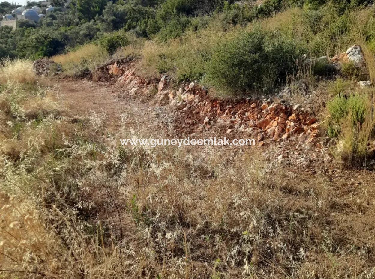 12 300 M2 Land Geeignet Für Investitionen Zum Verkauf In Antalya Kaş Kalkan Islam