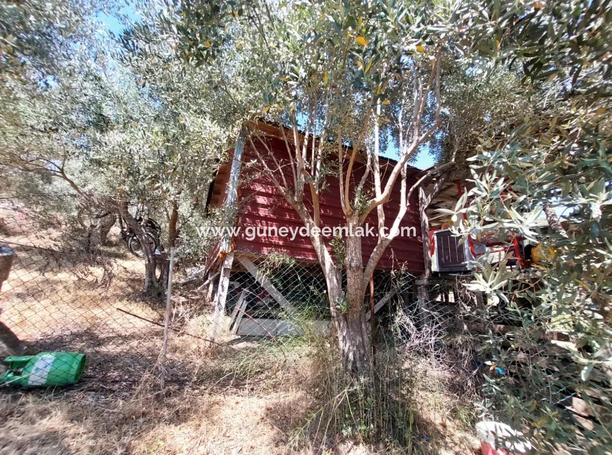 Zu Verkaufen Mit Einem Nummerierten Gebäude Auf 2.500M2 Schatzgrundstück In Ortaca Eskiköy