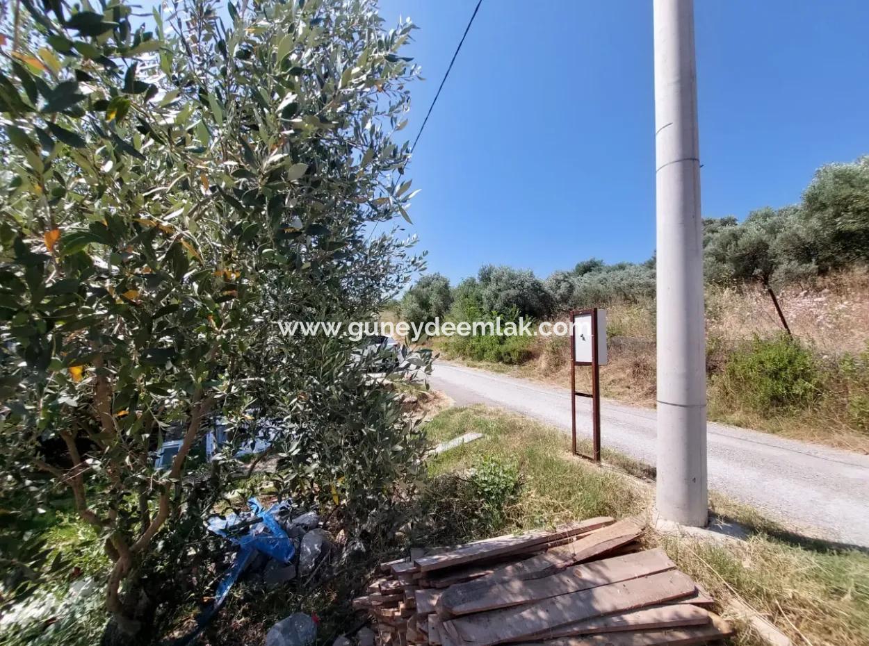 Zu Verkaufen Mit Einem Nummerierten Gebäude Auf 2.500M2 Schatzgrundstück In Ortaca Eskiköy