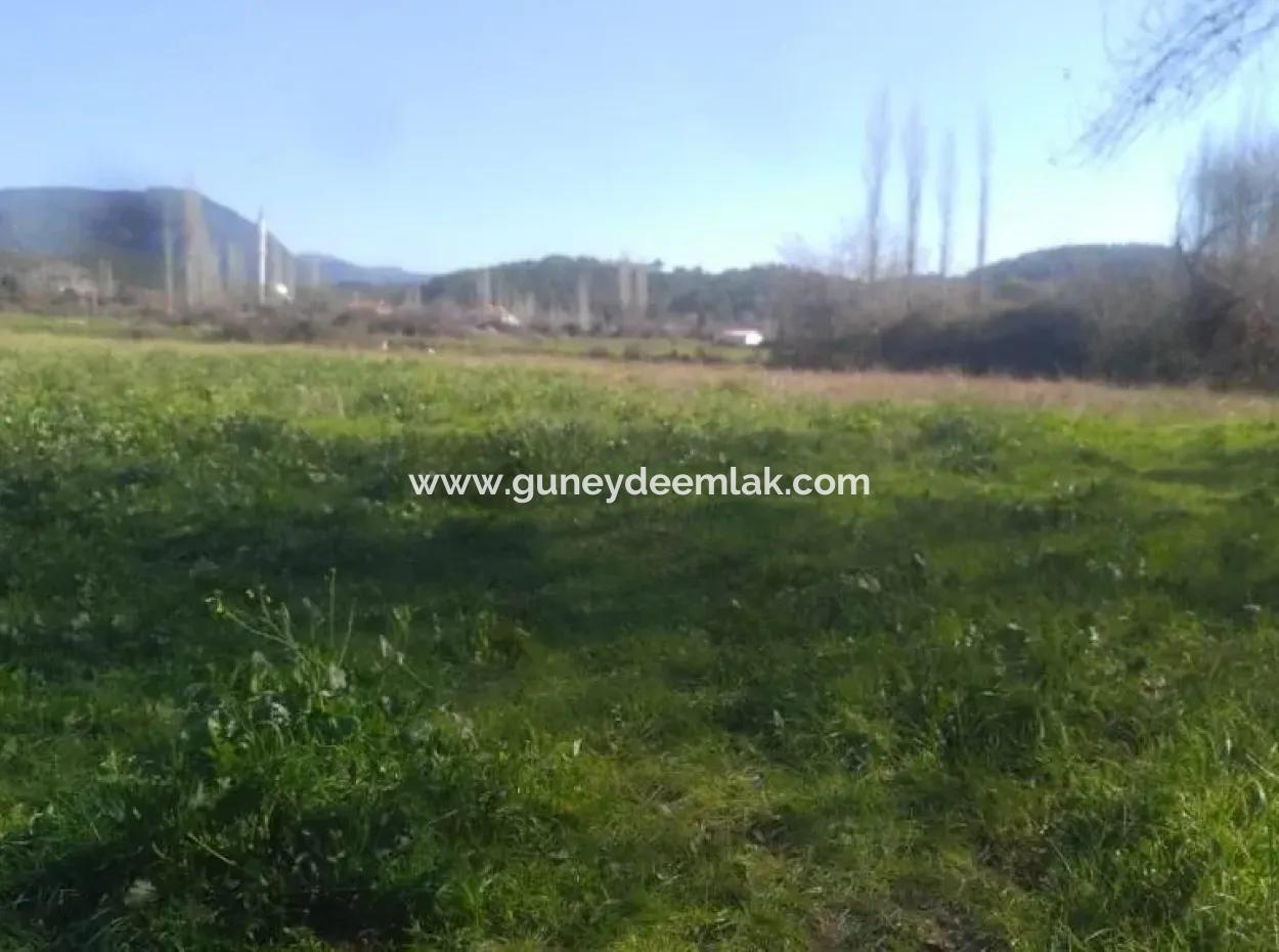 Land Zum Verkauf In Bargain Detached Zeytinalani