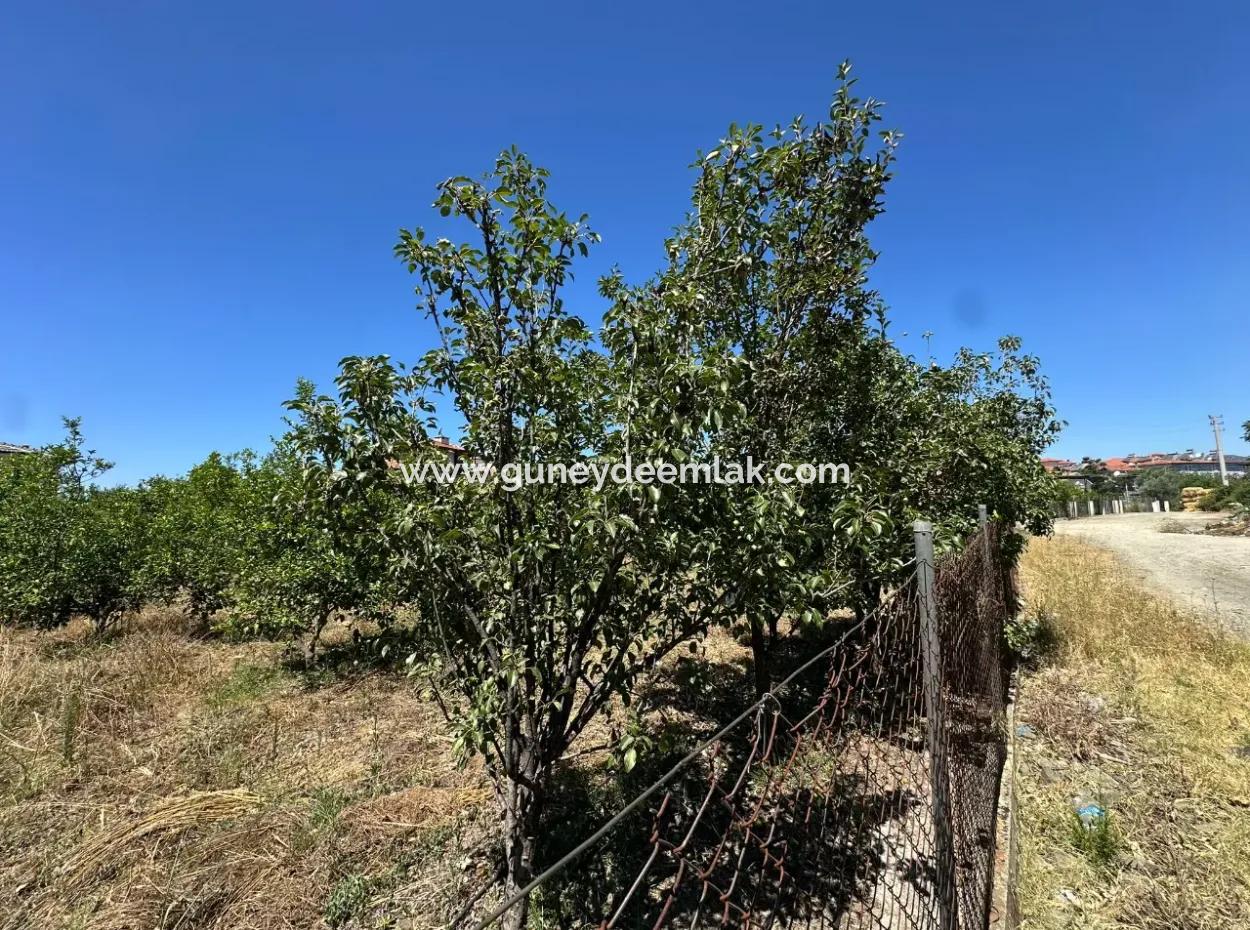 650 M2 30% Zoniertes Grundstück Zum Verkauf In Ortaca Center