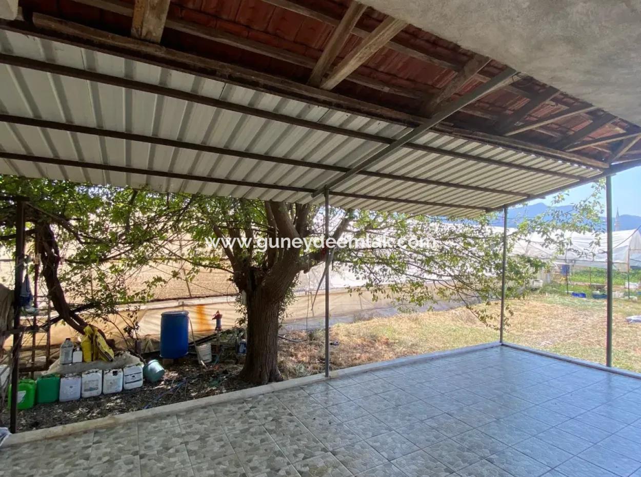 Einfamilienhaus Und Gewächshaus Zum Verkauf Auf Einem 5200 M2 Großen Feld In Ortaca Eskiköy