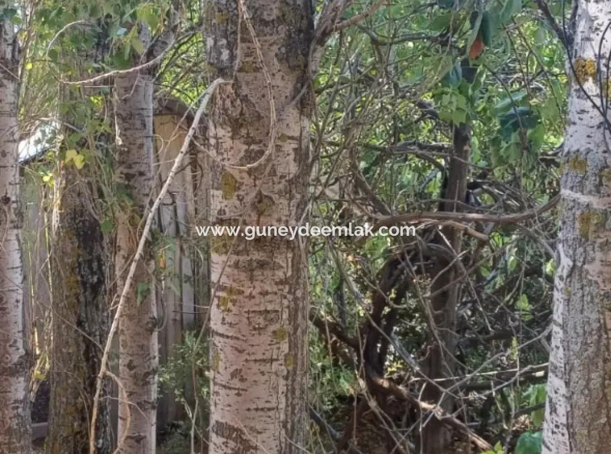 2-Stöckiges Steinhaus Zum Verkauf Auf 750 M² Land In Denizli Çameli Gökçeyaka