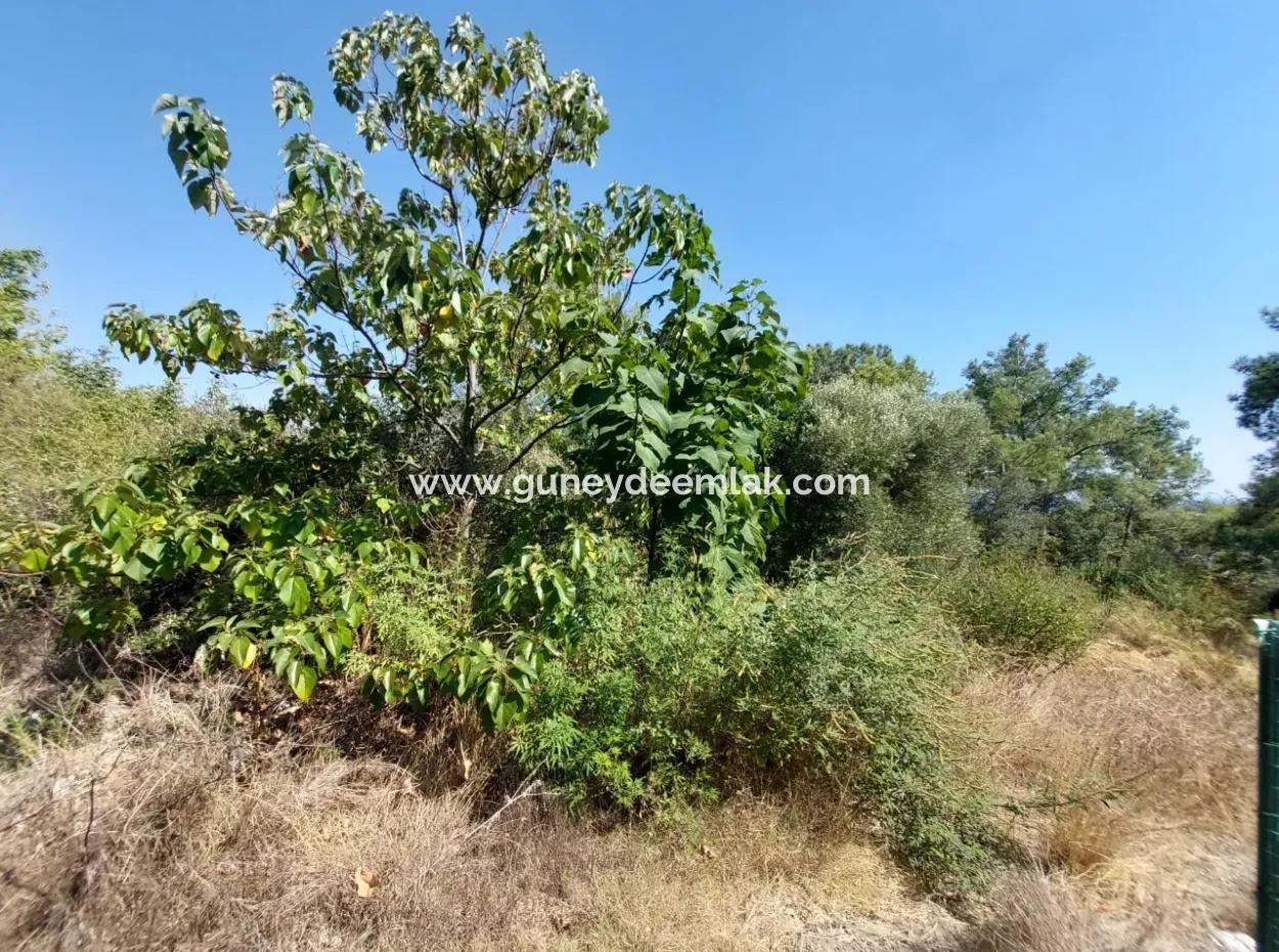 2 225 M2 2 Freistehende Grundstücke Mit Meerblick Auf Ortaca Sarigerme Zu Verkaufen