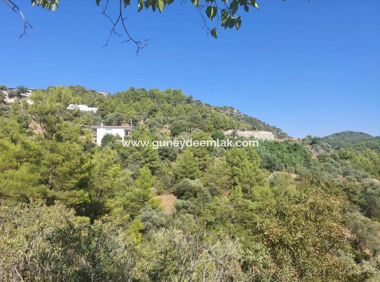 238 M2 Hobbygarten Mit Freistehender Eigentumsurkunde Zum Verkauf In Ortaca Gökbel, Muğla