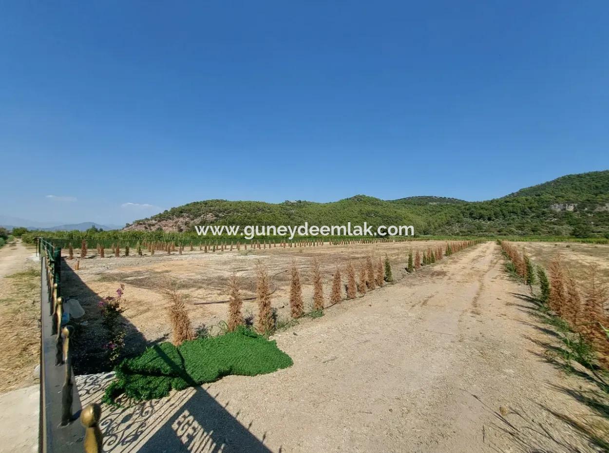 Genossenschaftsanteile Zum Verkauf In Ortaca Güzelyurt – 270 M²