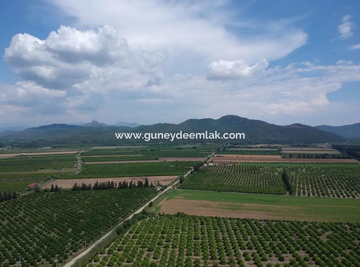 Tepearasi Oriya Schnäppchen Zwischen 13 700 M2 Land For Sale