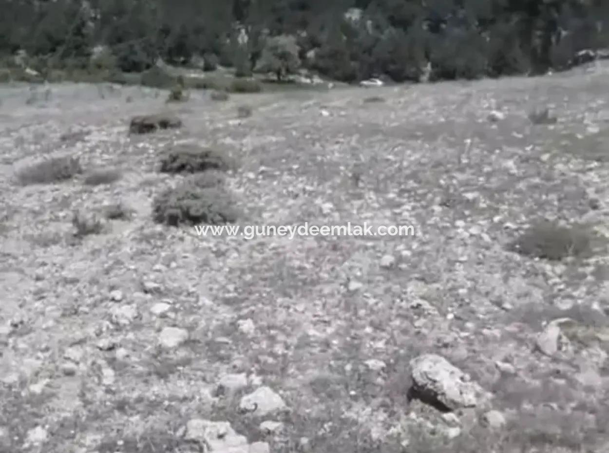 2030 M2 Feld Zum Verkauf In Çameli Ayvacık