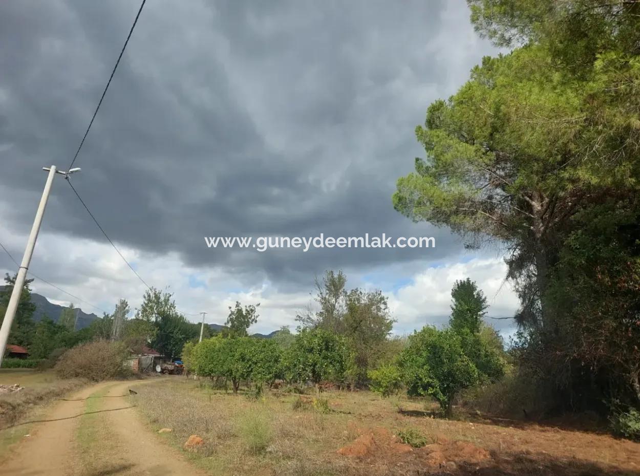 In Muğla Köyceğiz Pinar Sind Zwei Separate Grundstücke Mit Herrlicher Aussicht Zum Verkauf