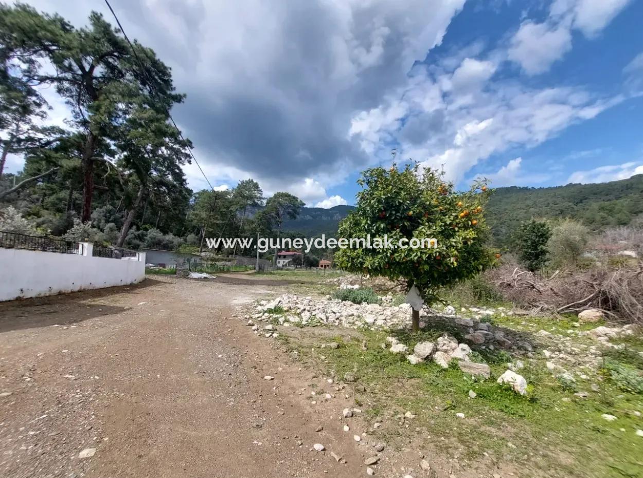 1 000 M2 Grundstück Zum Verkauf In Muğla Köyceğiz Çandır Center
