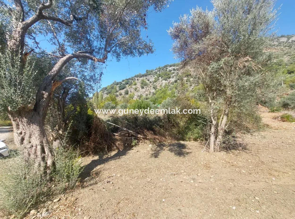 400 M2 Grundstück In Der Nähe Des Sees In Ortaca Gökbel Steht Zum Verkauf
