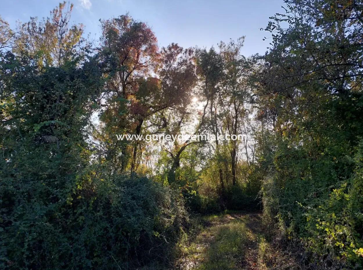 9 600 M2 Grundstück In Der Nähe Des Sees In Köyceğiz Toparlar Stehen Zum Verkauf