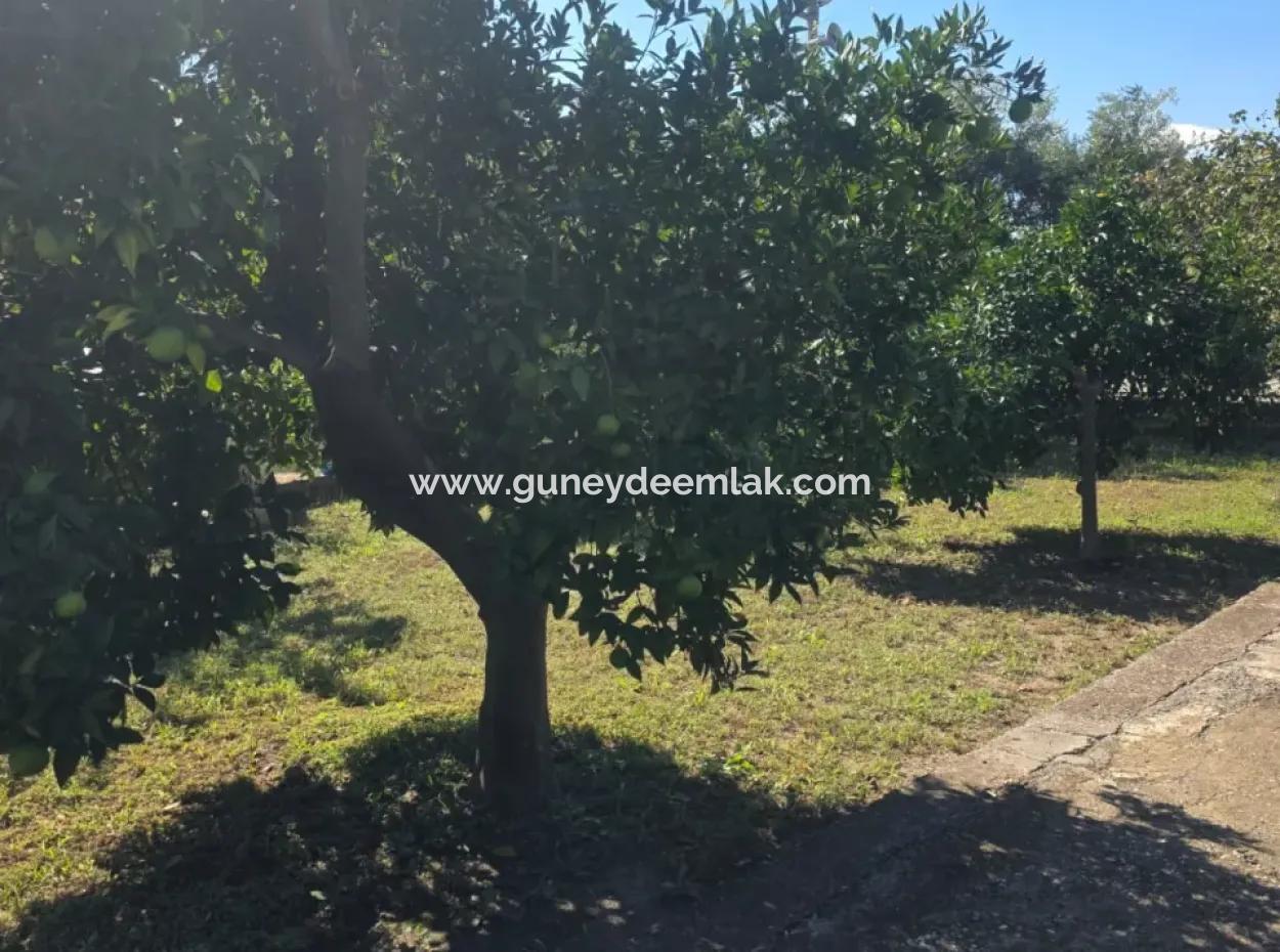 2 1, 70 M2 Dorfhaus Zum Verkauf Auf 902 M2 Land Null Zur Ortaca Akıncı Sarıgerme Road